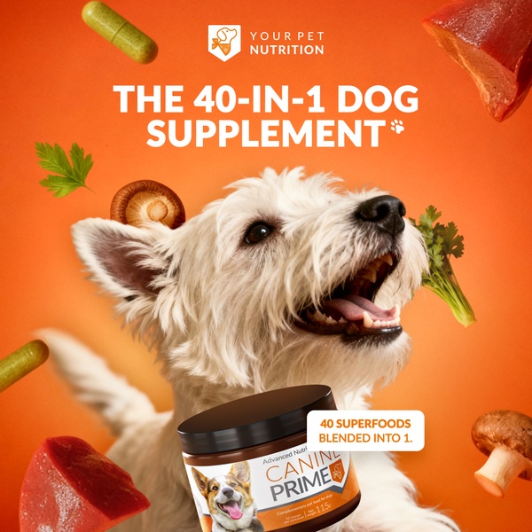 A square ad creative featuring a happy dog surrounded by floating natural ingredients, highlighting a 40-in-1 benefit for pet health.